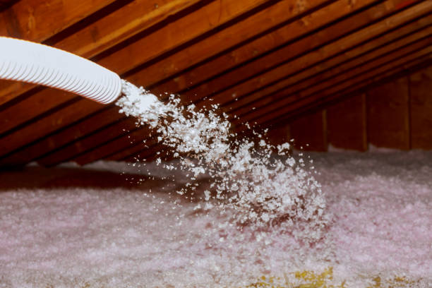 Best Cellulose Insulation in Shasta Lake, CA