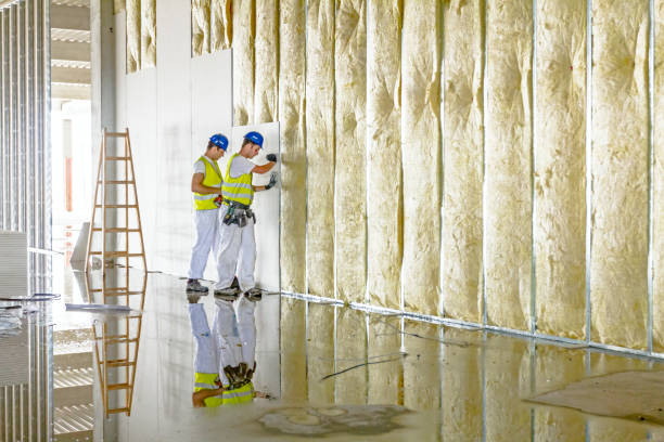 Best Fiberglass Insulation in Shasta Lake, CA